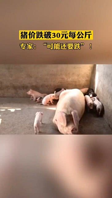 港澳新闻 第44页