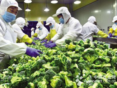 游戏专题 第15页